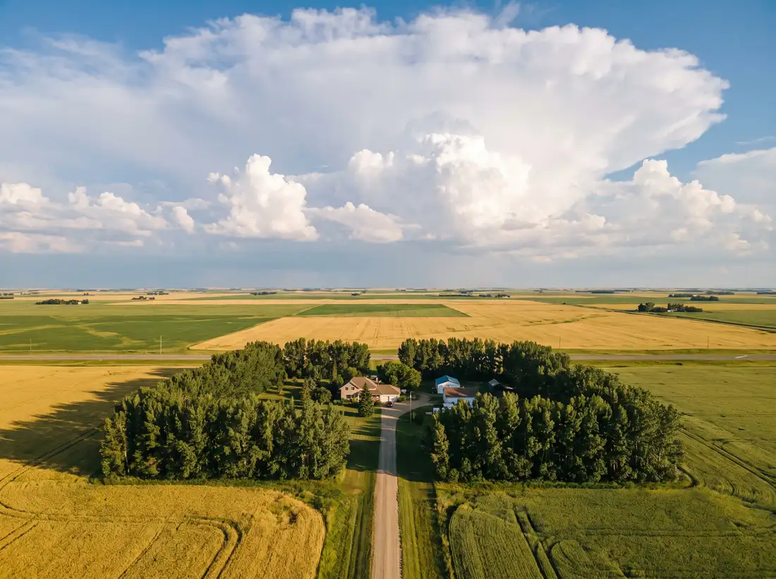 Open prairie farmland and a rural acreage driveway near Saskatoon, SK